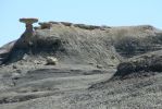 PICTURES/Bisti Badlands in De-Na-Zin Wilderness/t_Flat Top1.JPG